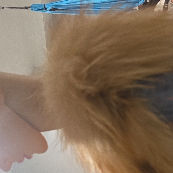 Leather vest with racoon collar - Picture 15 of 17